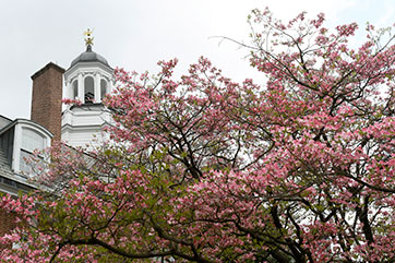 A campus building. Link to Beneficiary Designations